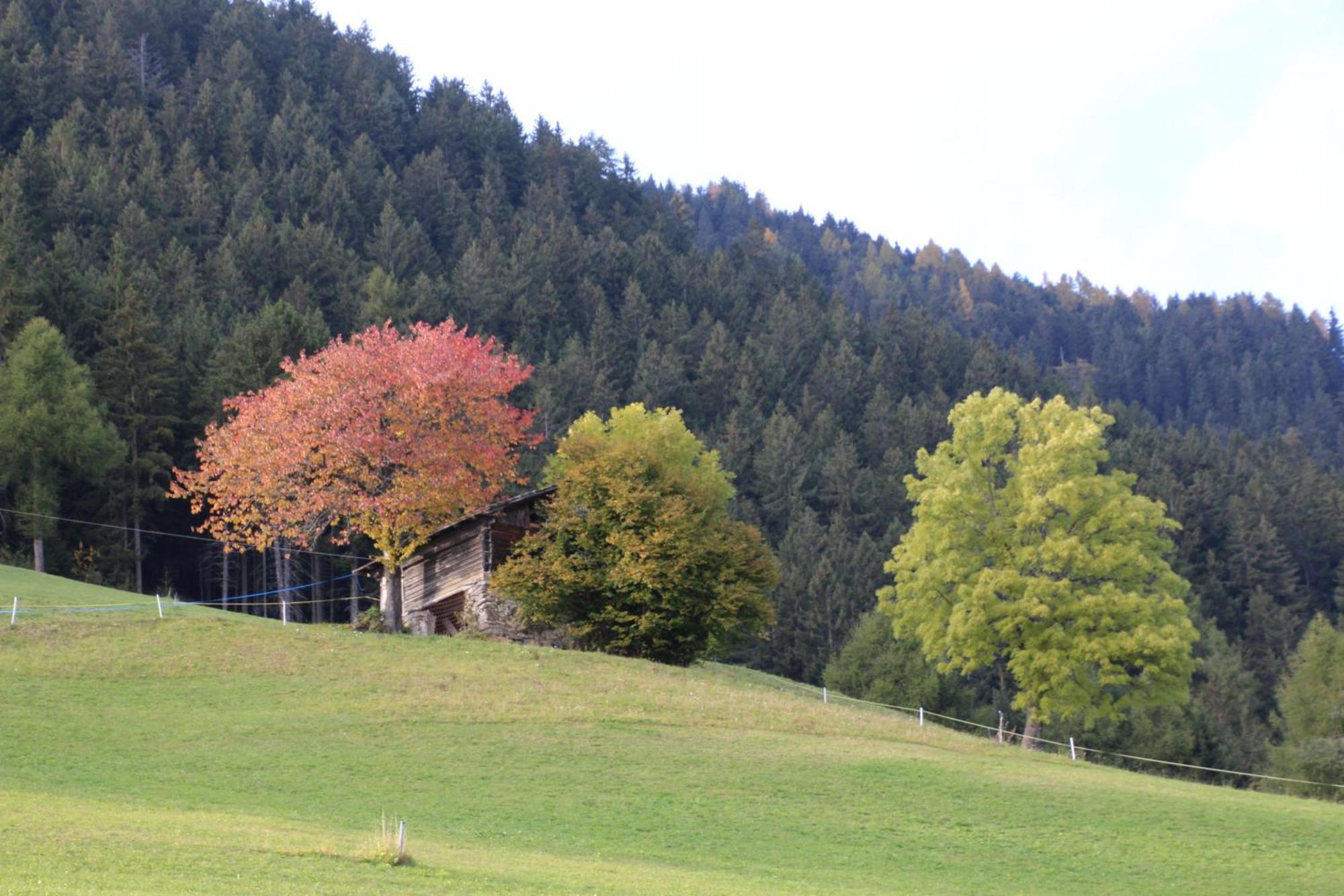 Gasthof Walde Rifiano Exterior photo